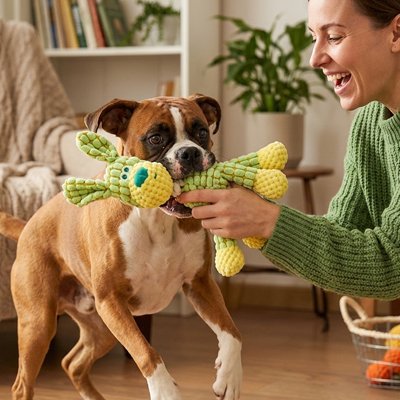 Chien mordillant une peluche jouet colorée résistante aux morsures