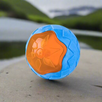 jouet-chien-eau-flottant-ballon