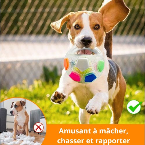 Jouet d'occupation chien à mâcher 