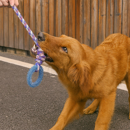 Jouet occupation chien | Dentifun™ stimulant