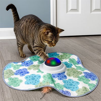 Jouet pour chat contre l'ennui – chat tigré qui explore la boule lumineuse sur tapis fleuri