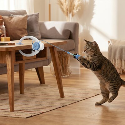 Jouets interactifs pour chat