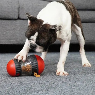 Jouets interactifs pour chien distributeur de croquette