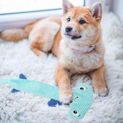 Jouets pour chien | Ultra-résistant