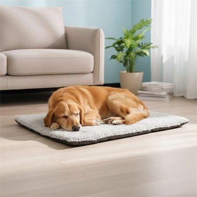Labrador endormi sur son Tapis Chien 