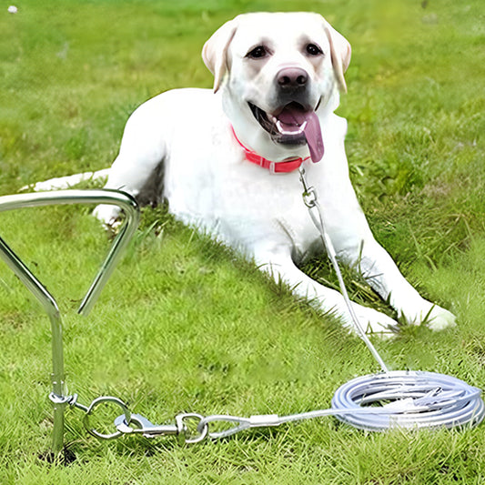 laisse chien 1500cm