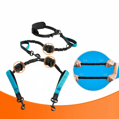 Laisse double bungee avec badges