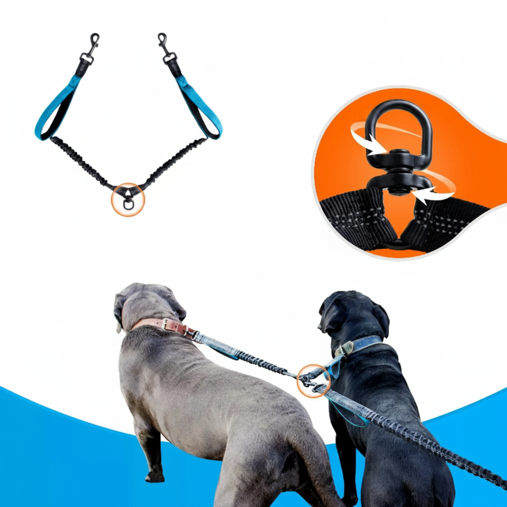Laisse élastique pour chien connecteur anti-emmêlement 360° pour 2 chiens