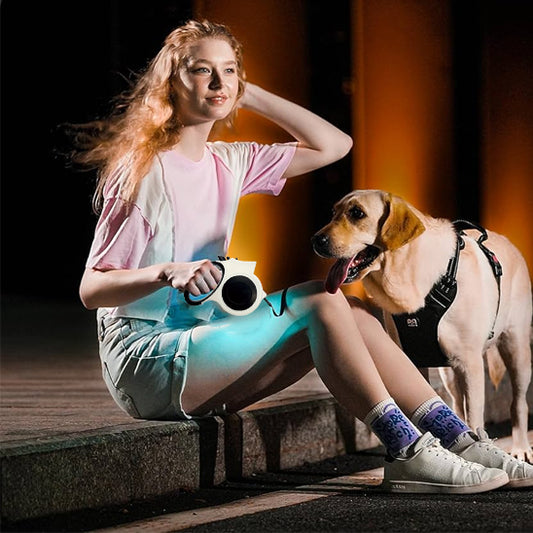laisse pour chien blanche