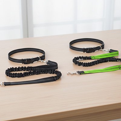 Laisse pour chien elastique noire ou verte
