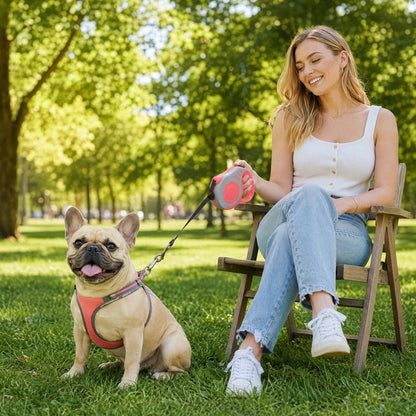 Laisse pour chien extensible : femme assise sur un banc avec un bouledogue français attaché