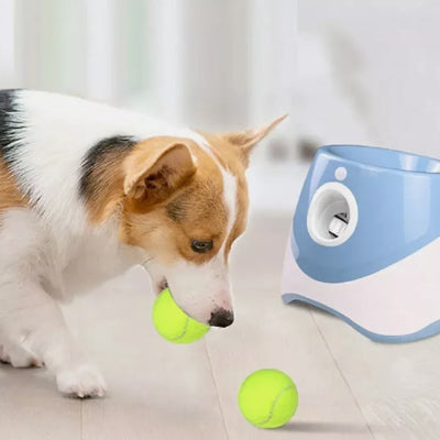 Lanceur de balle automatique pour chien amusant