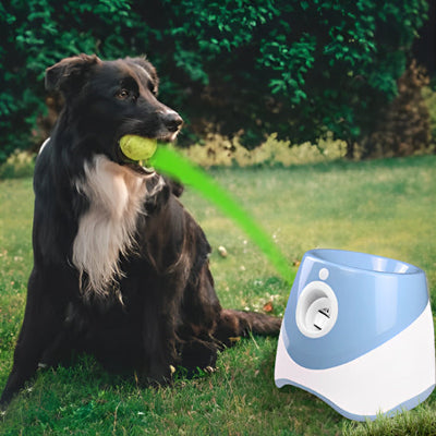 Lanceur de balle automatique pour chien | BalleExpress™