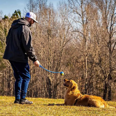 Lanceur de balles pour chien manuel