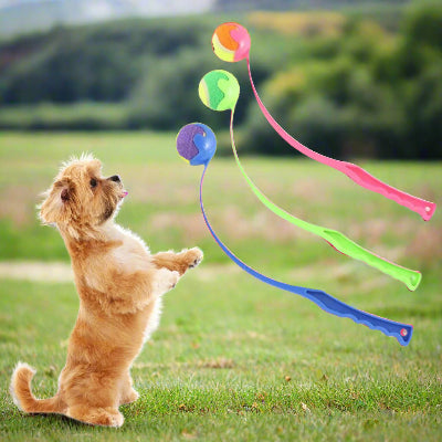 Lanceur de balles pour chien | TennisGo™