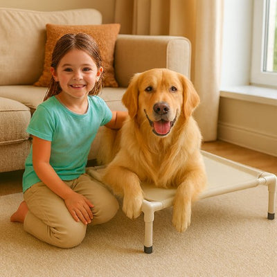 golden beige sur son lit de camp Chien une june fille à ses côtés