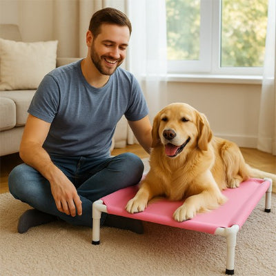 golden brun couché sur son Lit de camp Chien rose son maître près de lui