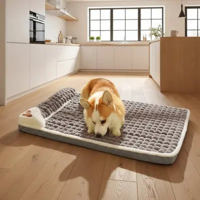 Lit pour chien molletonné
