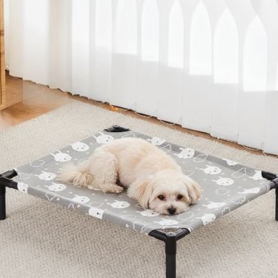Petit chien blanc couché lit pour Chien surélevé près de la fenêtre