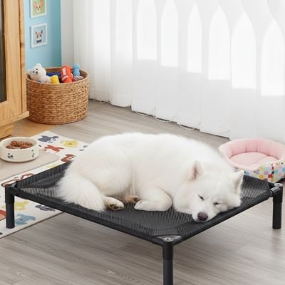chien blanc endormi sur Lit pour Chien surélevé 