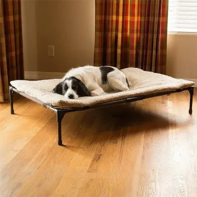 lit  surélevé pour chien dans salon