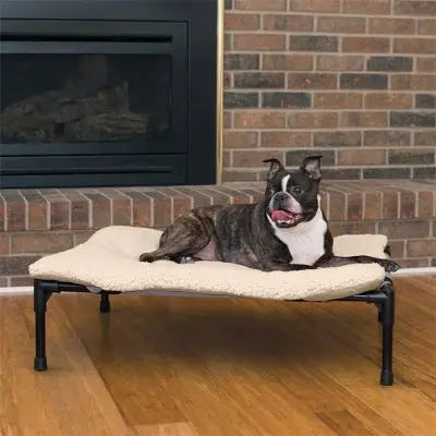 lit  surélevé pour chien ergonomique