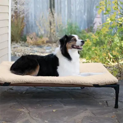 lit  surélevé pour chien intérieur et extérieur