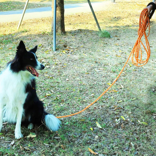Longe pour chien 15 metres