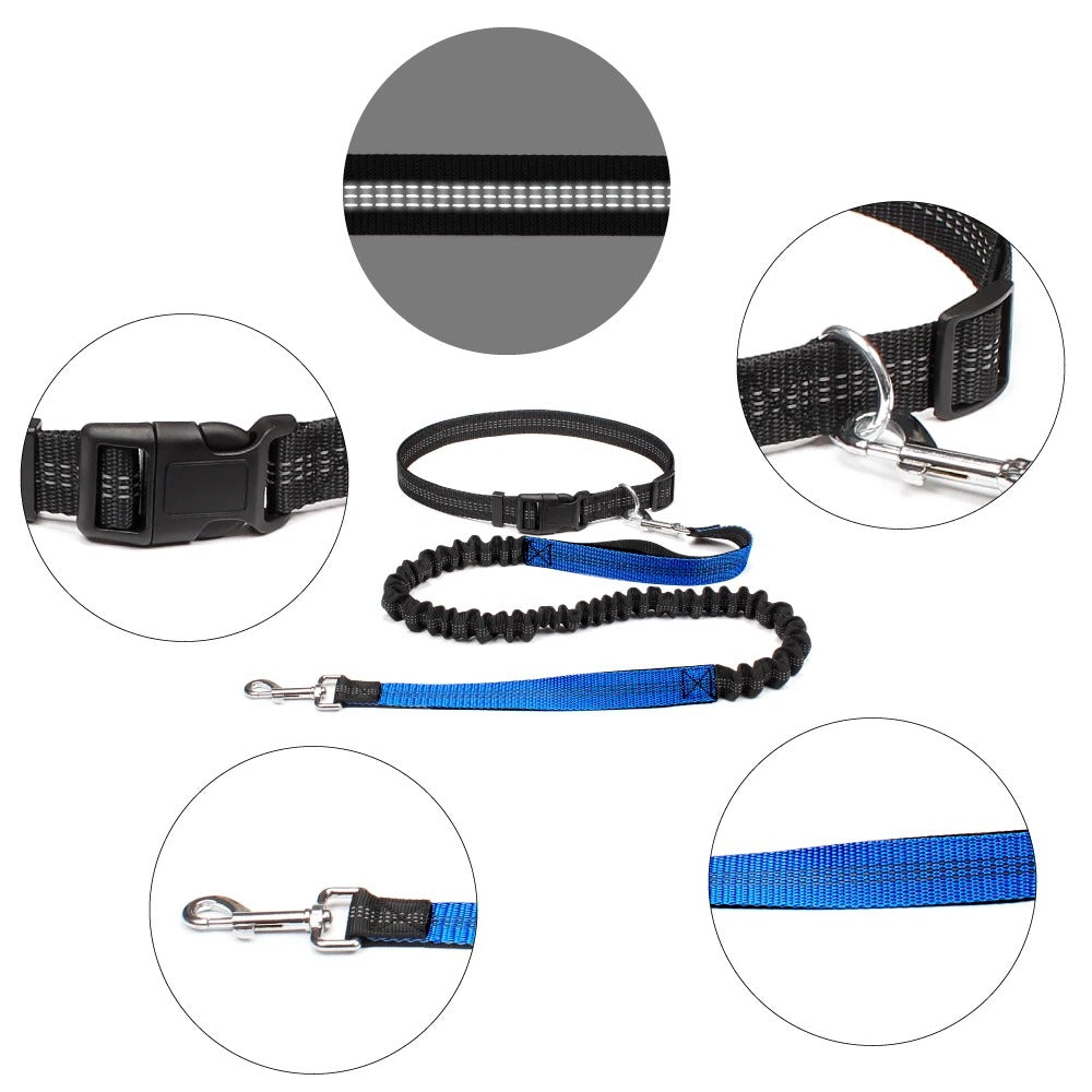 LAISSE POUR CHIEN ELASTIQUE | Canicross Royaume Animalier