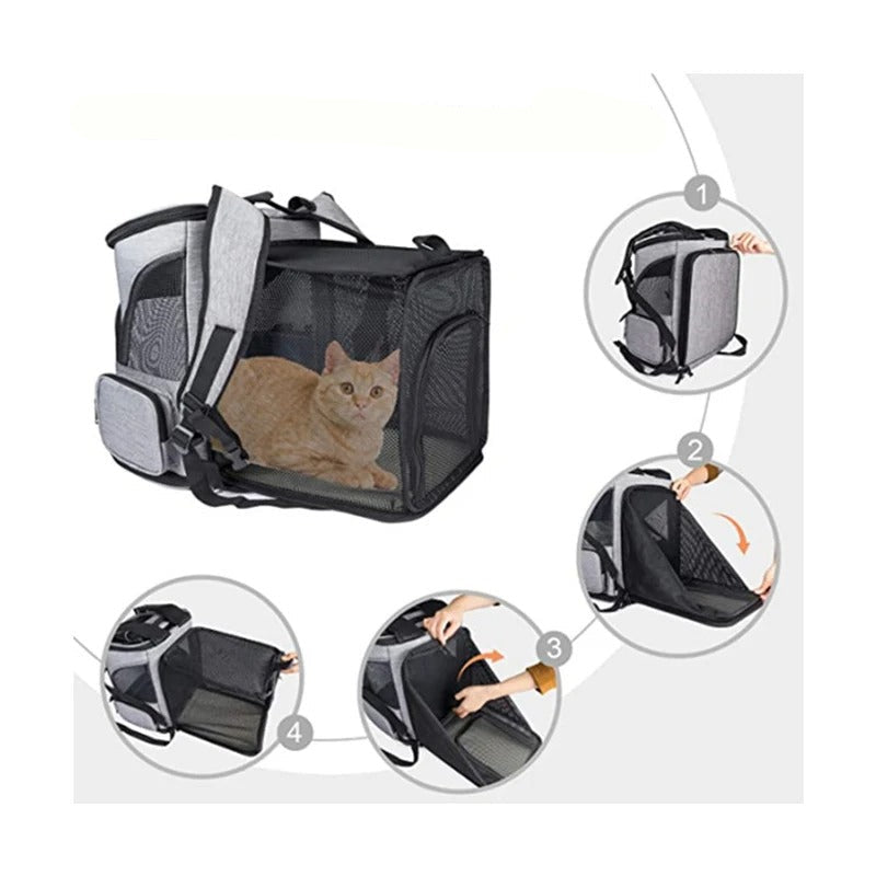 SAC A DOS CHAT | Confort Transparent Royaume Animalier