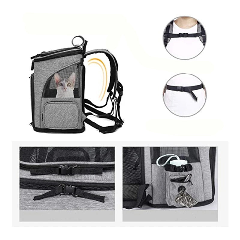 SAC A DOS CHAT | Confort Transparent Royaume Animalier