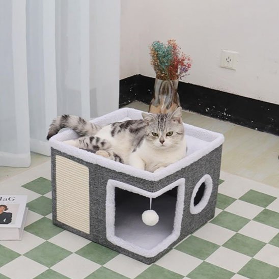 Maison pour les chats refuge multifonction