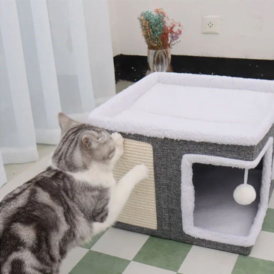 Maison pour les chats robuste et durable