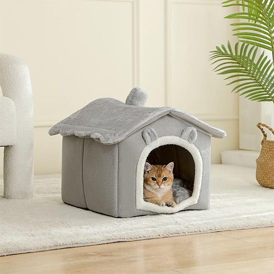 Maisons pour Chat design