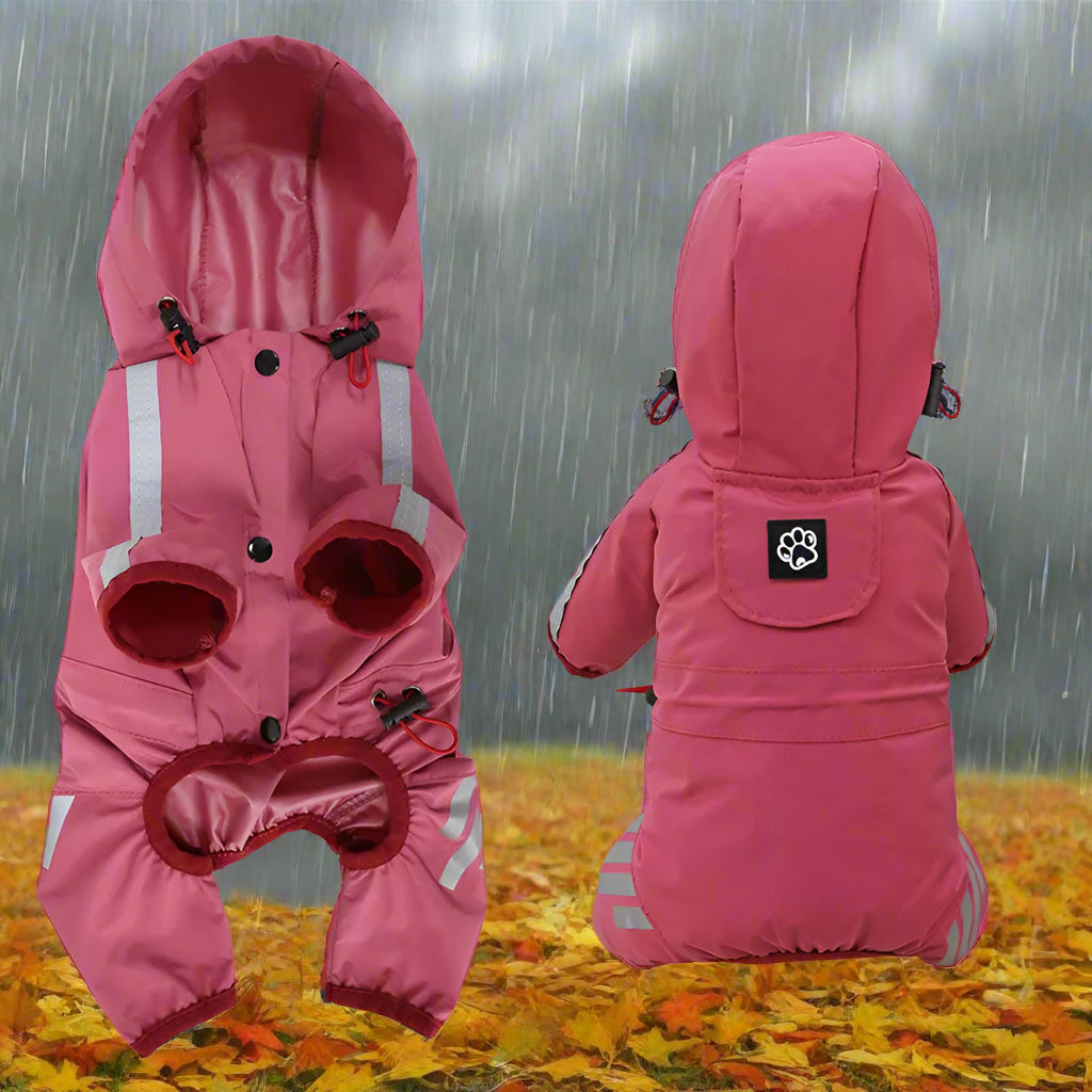 Manteau imperméable pour chien | Réfléchissant