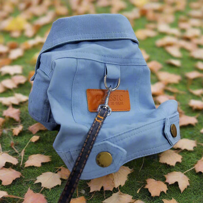 Manteau pour petit chien | Denim