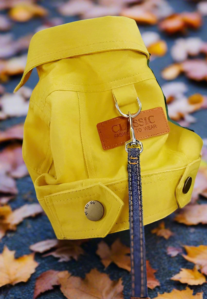 Manteau pour petit chien | Denim