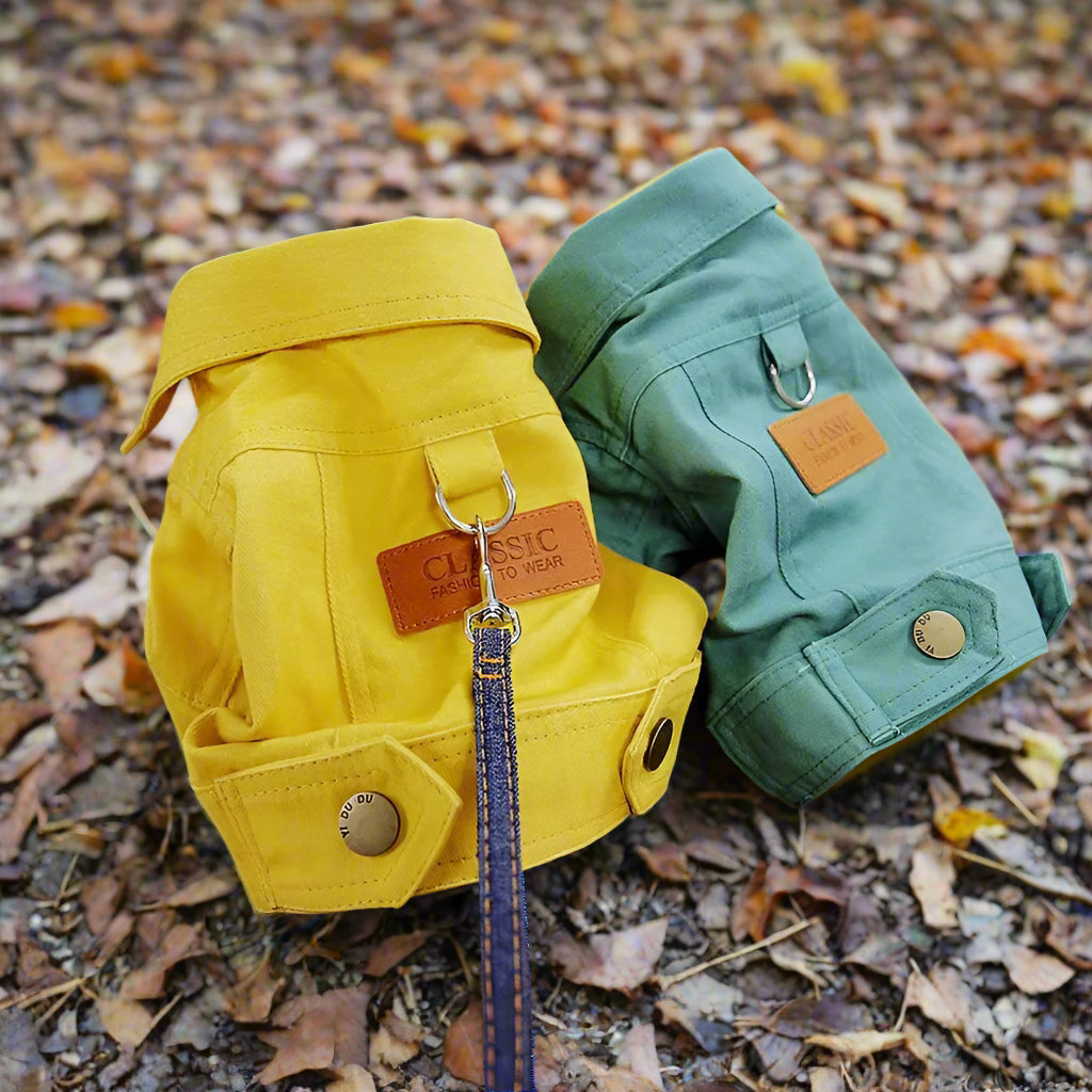 Manteau pour petit chien | Denim