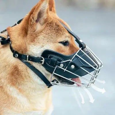 Muselière chien noir