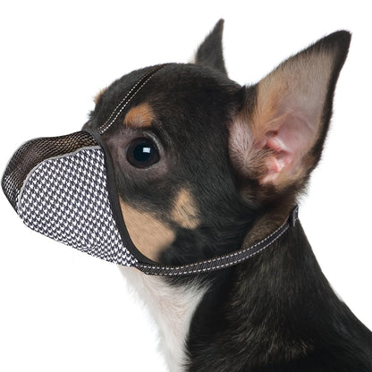 Muselière petit chien – Maille Respirante & Ajustable Royaume Animalier