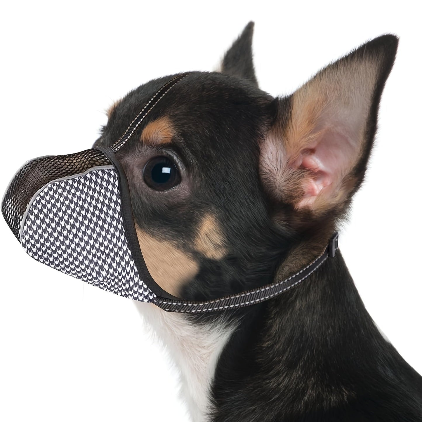 Muselière petit chien – Maille Respirante & Ajustable Royaume Animalier