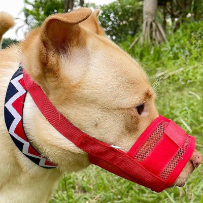 Muselière | SérénitéCanine™ rouge