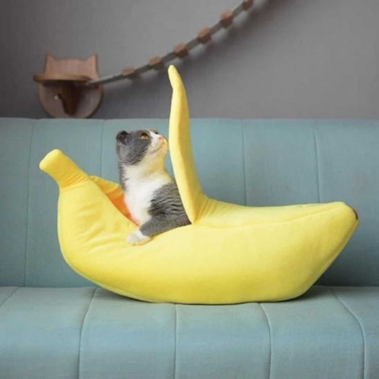 PANIER CHAT ORIGINAL LIT POUR ANIMAUX