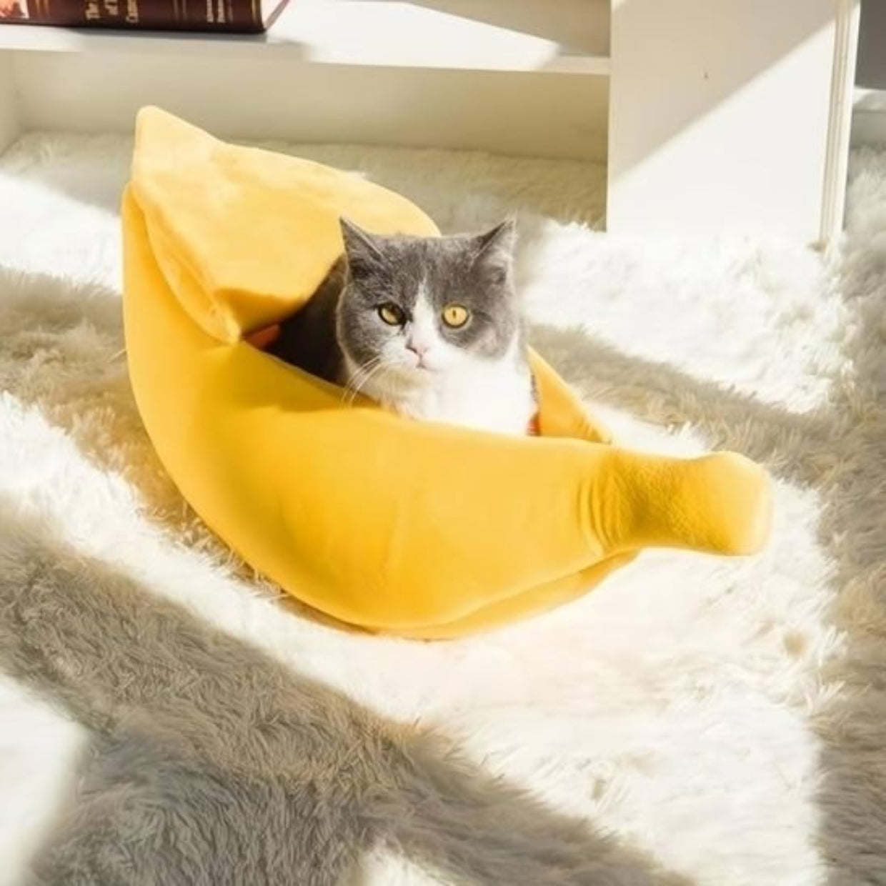 PANIER CHAT ORIGINAL LIT POUR CHATON