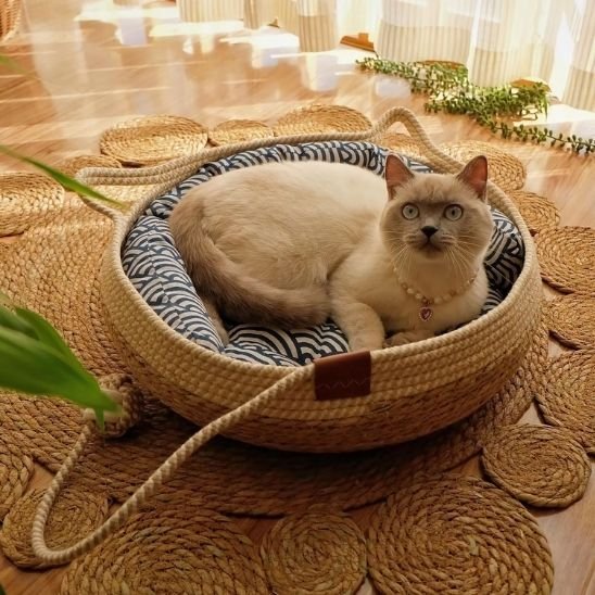 Panier chat osier rembourrage amovible