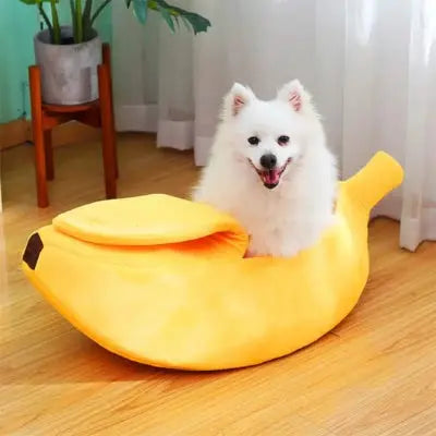 Panier chien banane