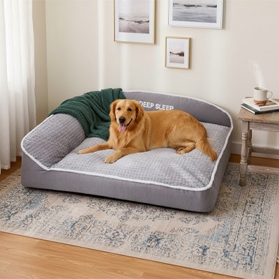 Panier chien XXL grande race en situation dans salon moderne