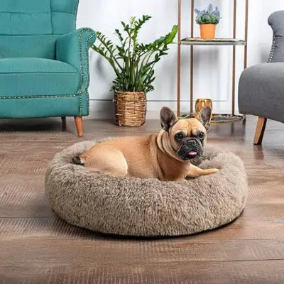 PANIER DEHOUSSABLE POUR CHIEN XXL