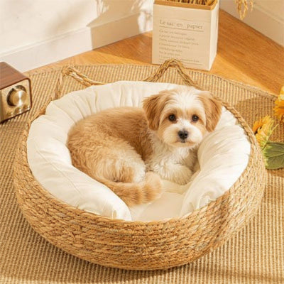 Panier en osier pour chien avec coussin amovible lavable