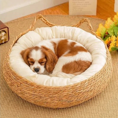 Panier en osier pour chien - tressage naturel artisanal